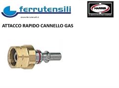 RACCORDO RAPIDO MASCHIO CANNELLO HARRIS CPLGB GAS